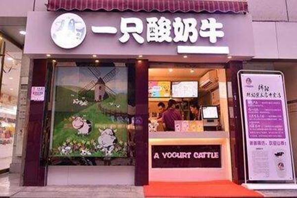 一只酸奶牛實體店