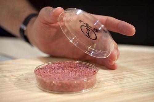 “人造肉”熱潮，未來(lái)將替代60%肉制品？