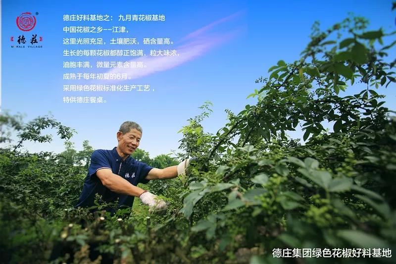 食品安全問題頻發(fā)，這家火鍋餐企憑啥突出重圍？