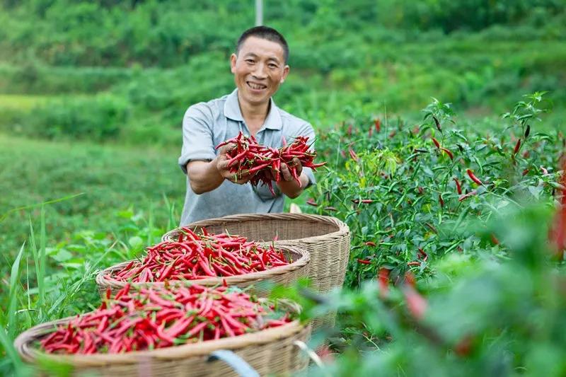 食品安全問題頻發(fā)，這家火鍋餐企憑啥突出重圍？